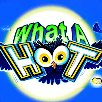 What a Hoot